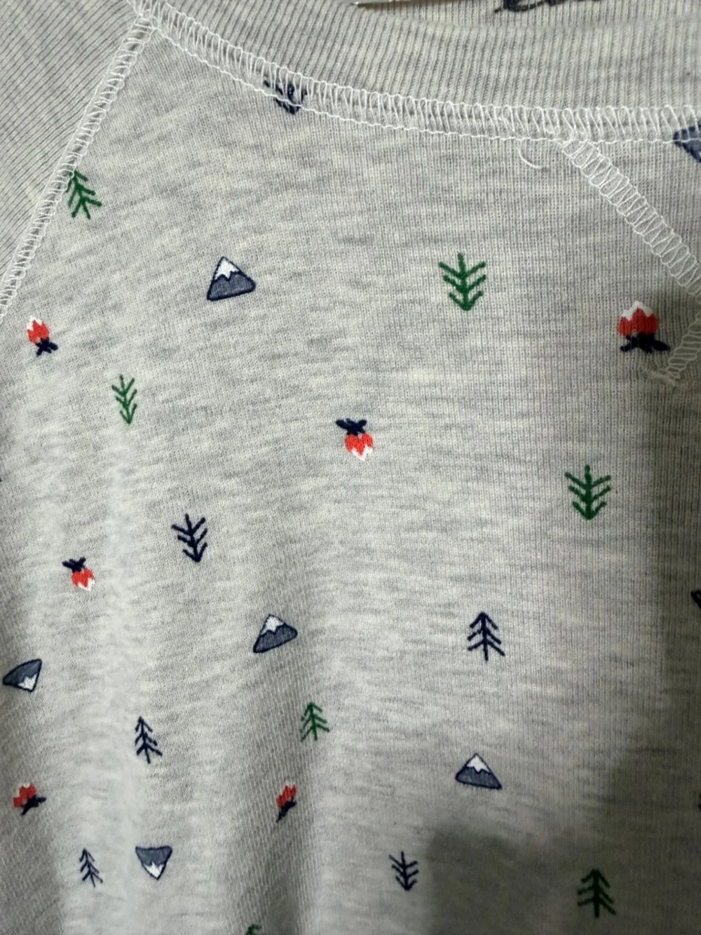 Eddie Bauer Light Weight Camping Graphic Sweatshirt, Grey, 2XL